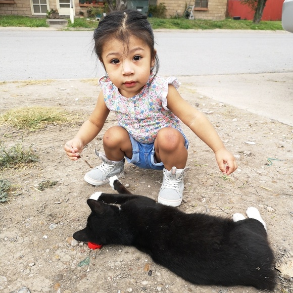 Meet your Posher, Zahara - Picture 1 of 1